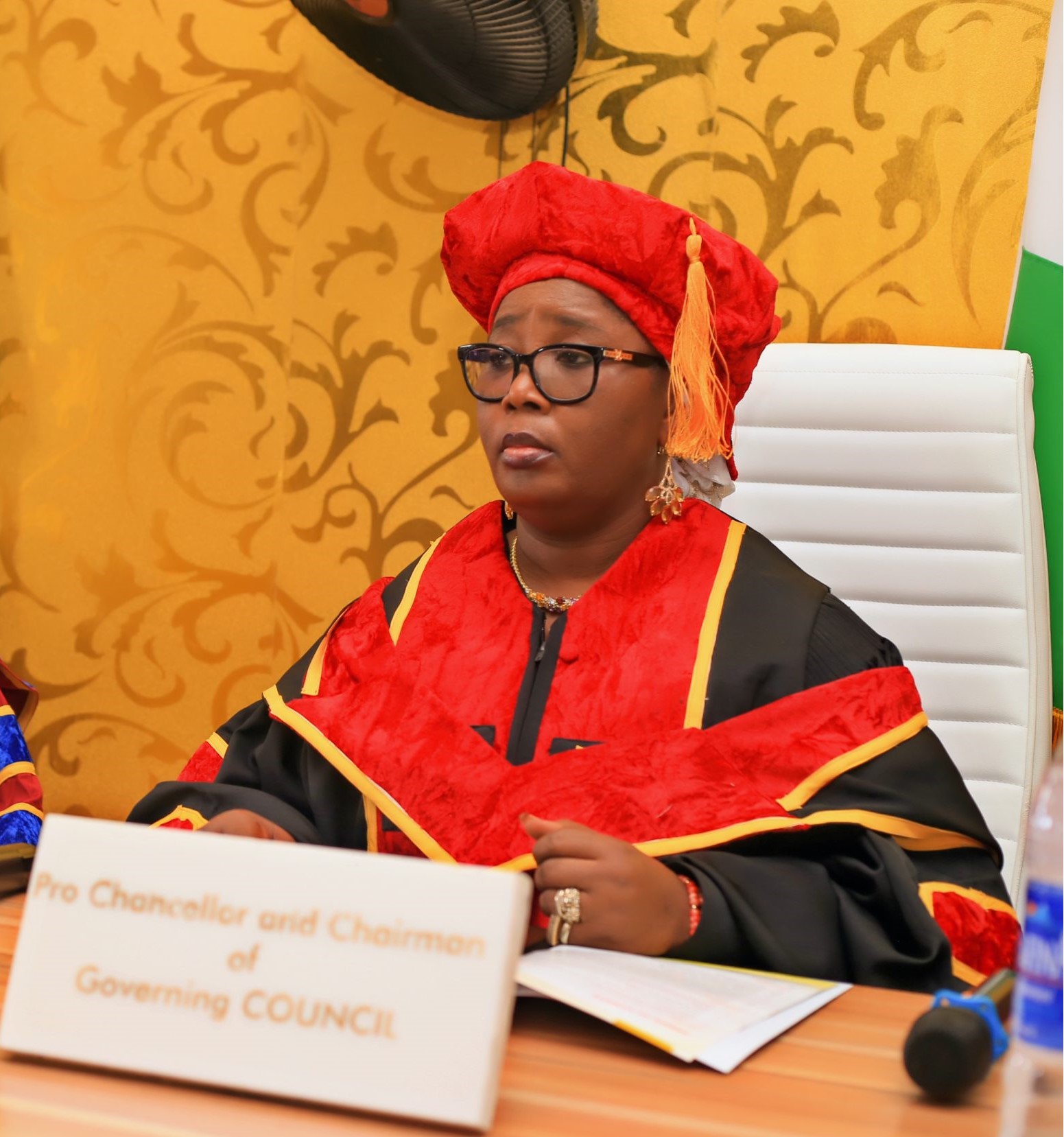 Chief (Dr) Mrs Mujidat Folasade Tinubu-Ojo, Pro-Chancellor of Havilla University